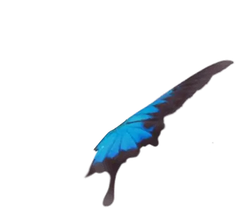 牙體品牌 新莊區舒適美數位牙醫診所牙體品牌