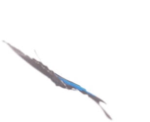 新北市新莊區舒適美數位牙醫診所_一日全口重建 一日全口重建