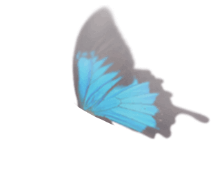 新北市新莊區舒適美數位牙醫診所_牙周病治療 牙周病治療